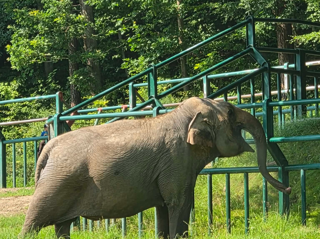 Oliwa Zoo-格但斯克必去景点