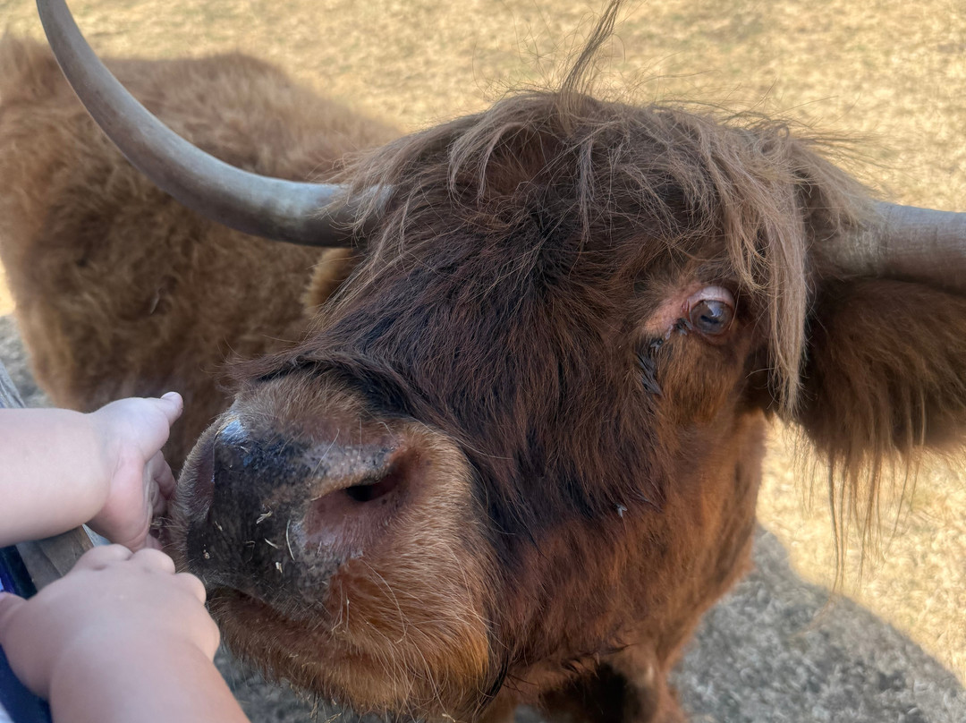 Bluebell Dairy Farm-德比必去景点