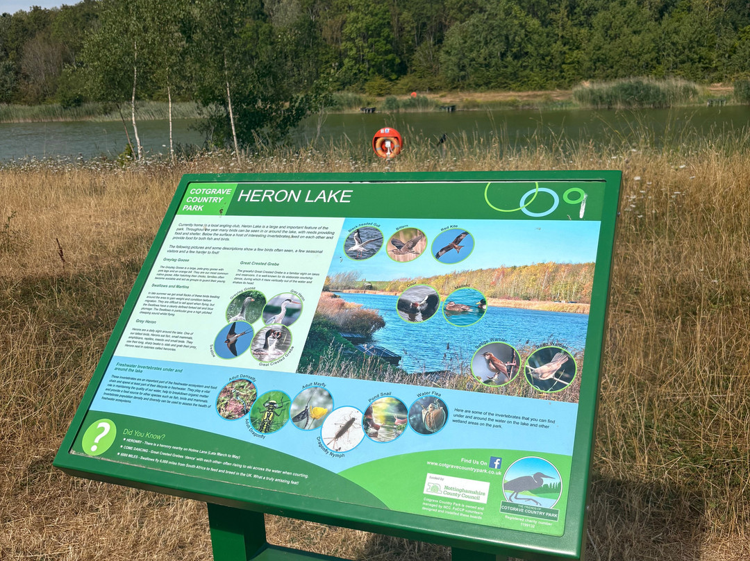 Cotgrave Country Park-Cotgrave必去景点