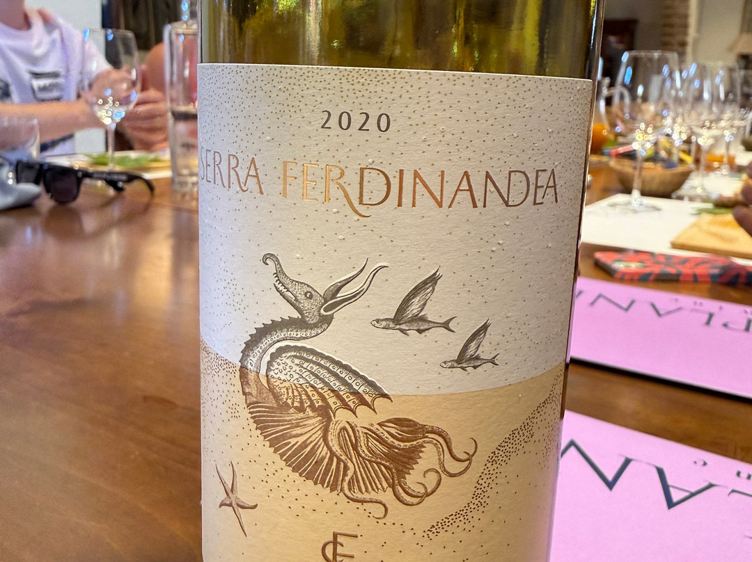Planeta Winery-Sambuca di Sicilia必去景点