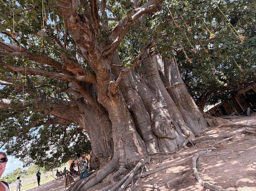 Babacar Trip Travel-Nianing必去景点