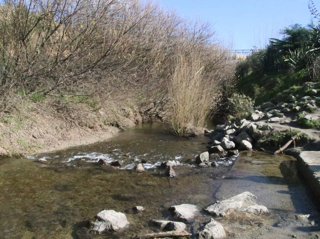 Urban Eels Palmerston North-北帕墨斯顿必去景点