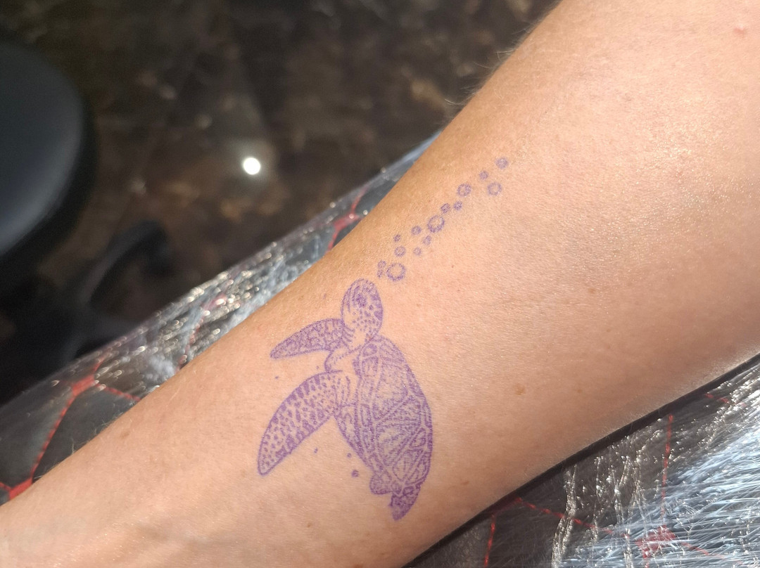 Cleopatra Ink Cape Verde-圣塔玛丽亚必去景点