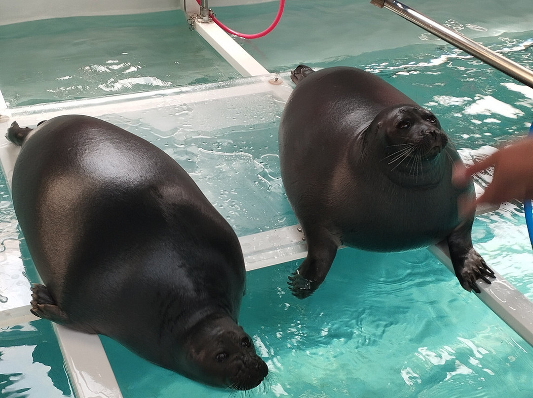 Nerpinary水族馆-利斯特维扬卡必去景点