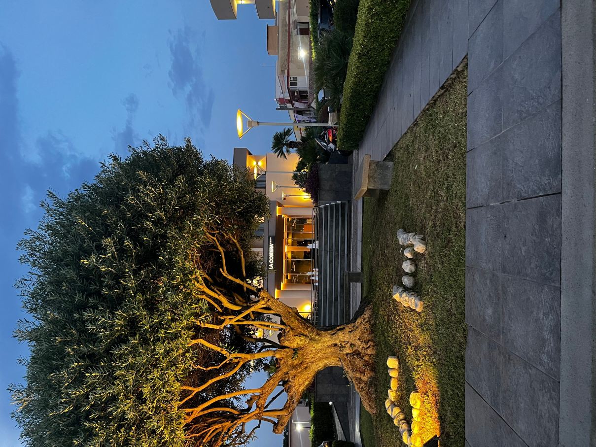 科斯蒂埃拉酒店-旅行者
