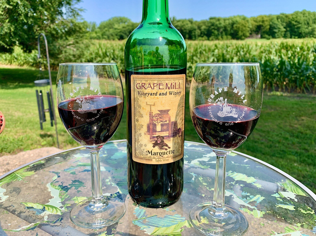 Grape Mill Vineyard and Winery-East Grand Forks必去景点