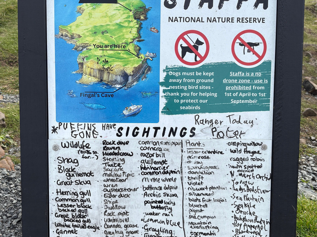 Staffa Trips-Isle of Iona必去景点