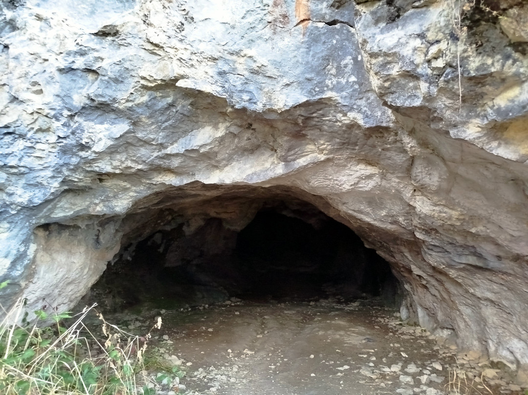 La Cueva del Oso
