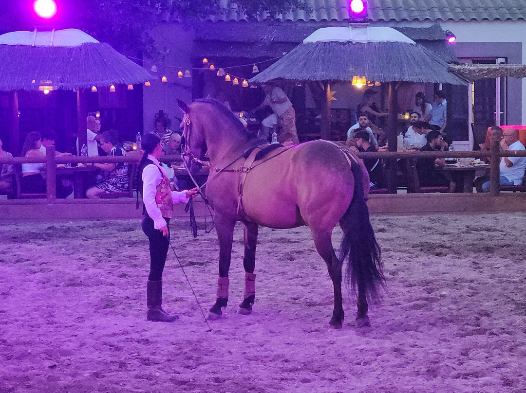 Cabaret Equestre des Sables-勒格罗迪鲁瓦必去景点
