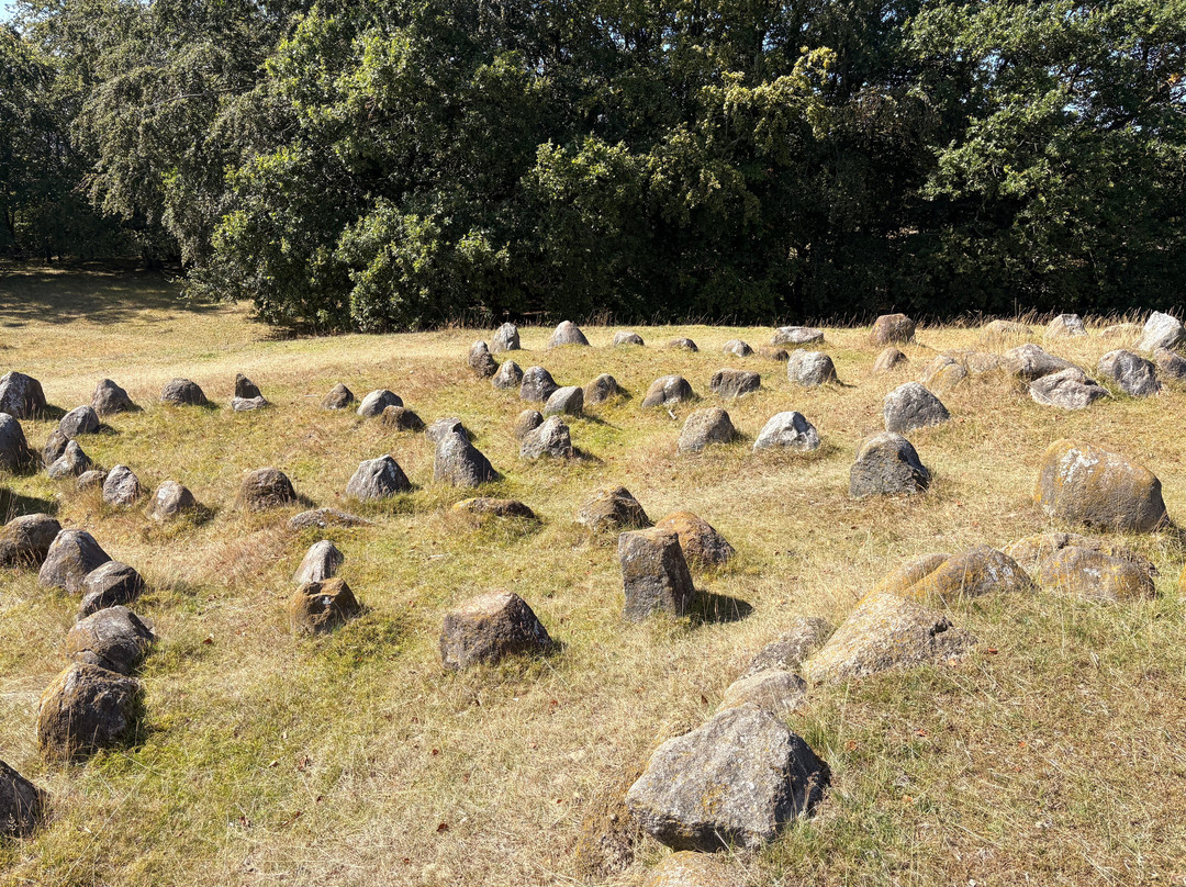 Vikingemuseet Lindholm Høje-Noerresundby必去景点