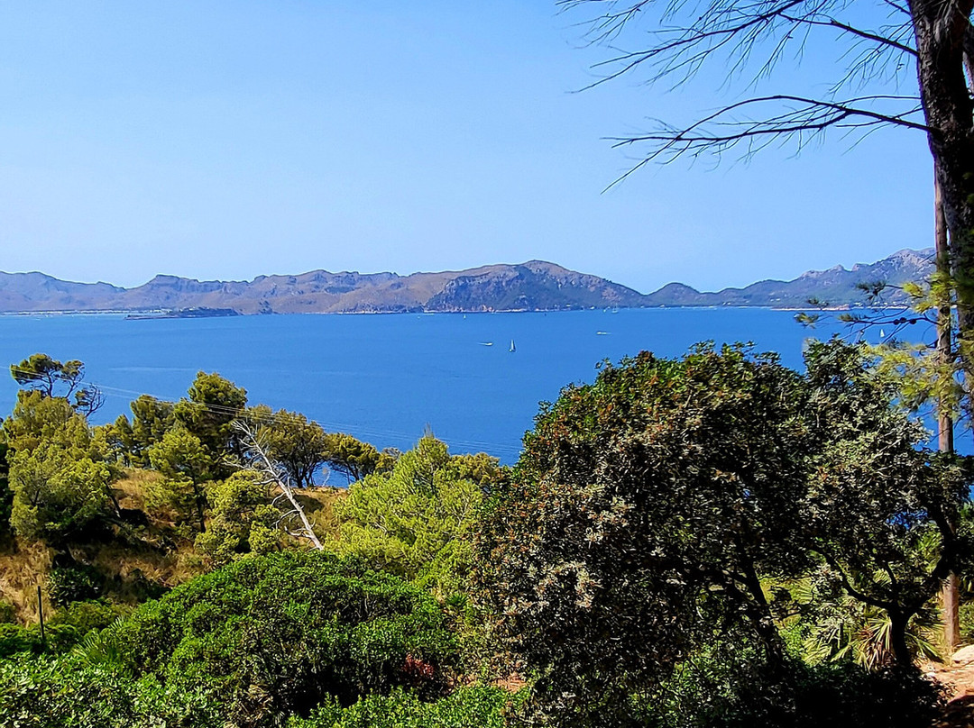 Buggy Mallorca Tours-阿尔库迪亚港必去景点