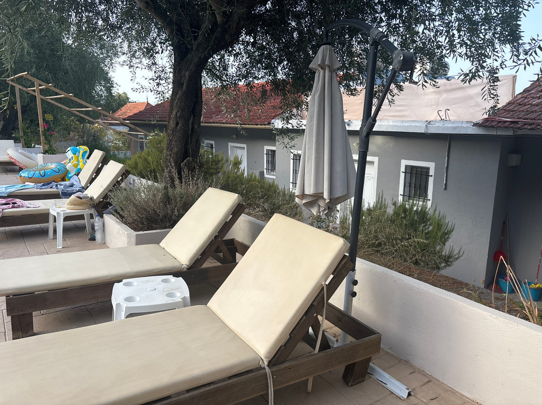 Olive Grove Poolside Apartments主图
