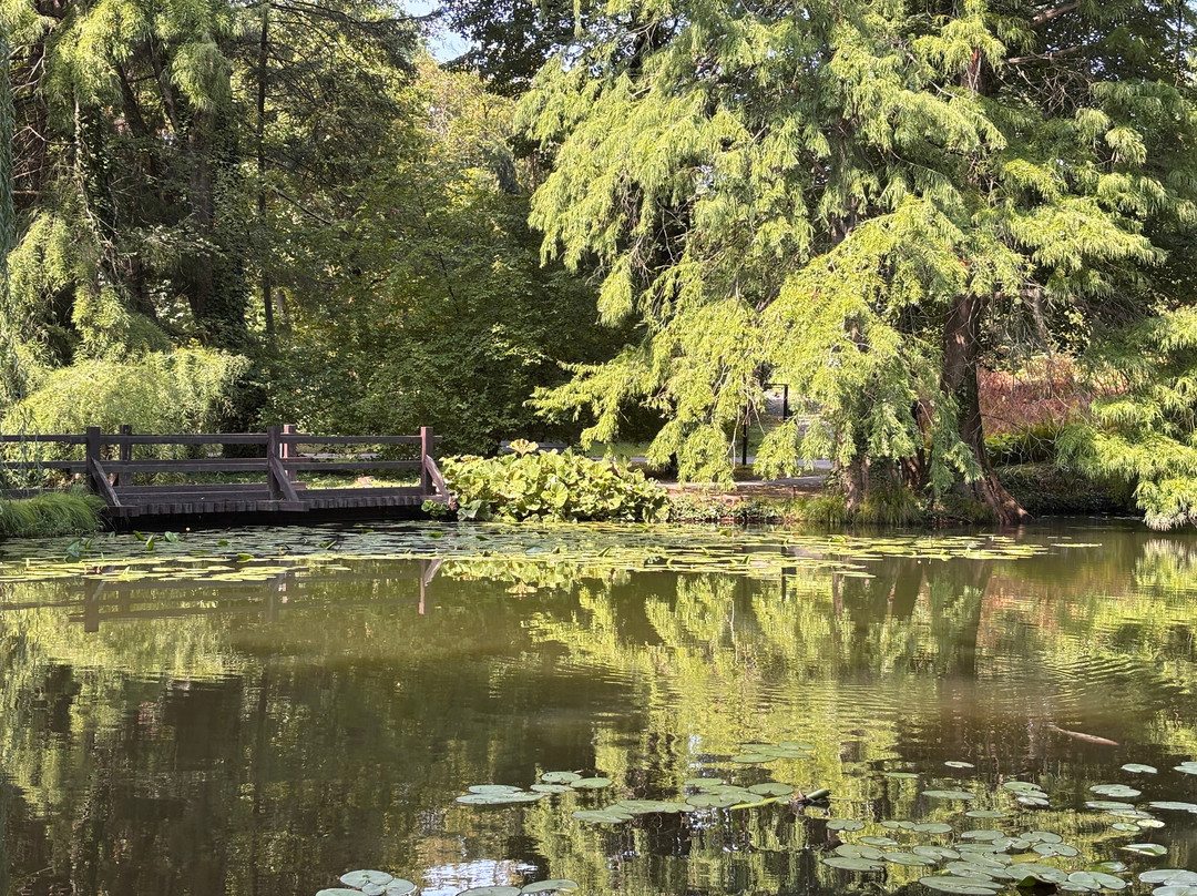 Botanical Garden-布拉迪斯拉发必去景点