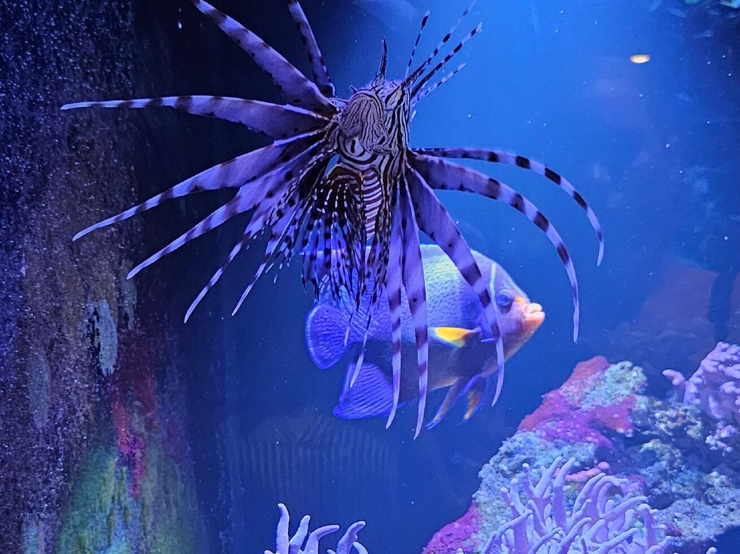 Neotropica, Postojna, Slovenia-波斯托伊纳必去景点