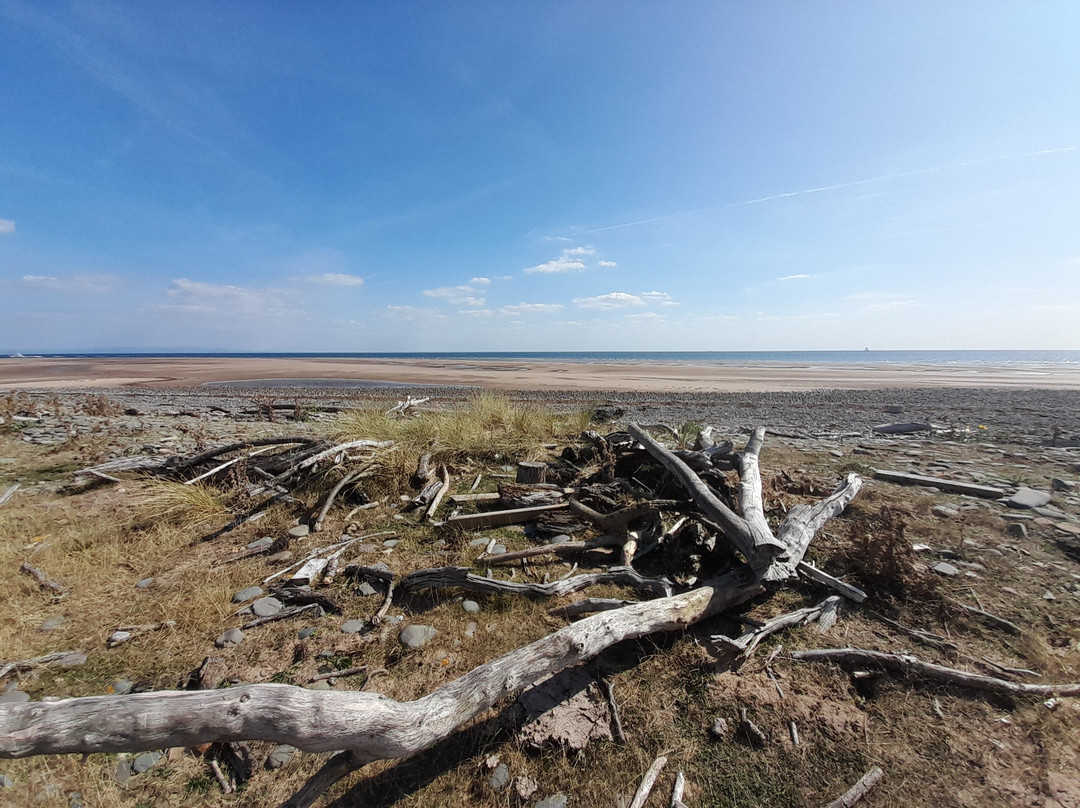 South Walney Nature Reserve-巴罗因弗内斯必去景点