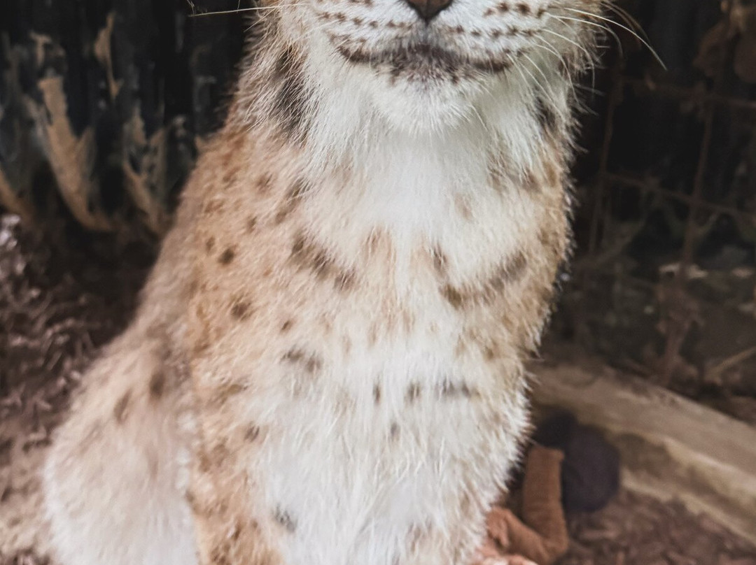 Jungle Experience Zoo-Granville必去景点