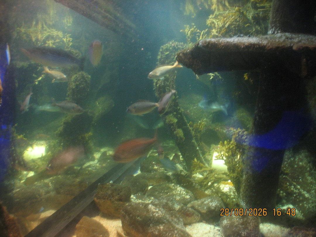Achill Experience, Aquarium & Visitor Centre-Achill Island必去景点