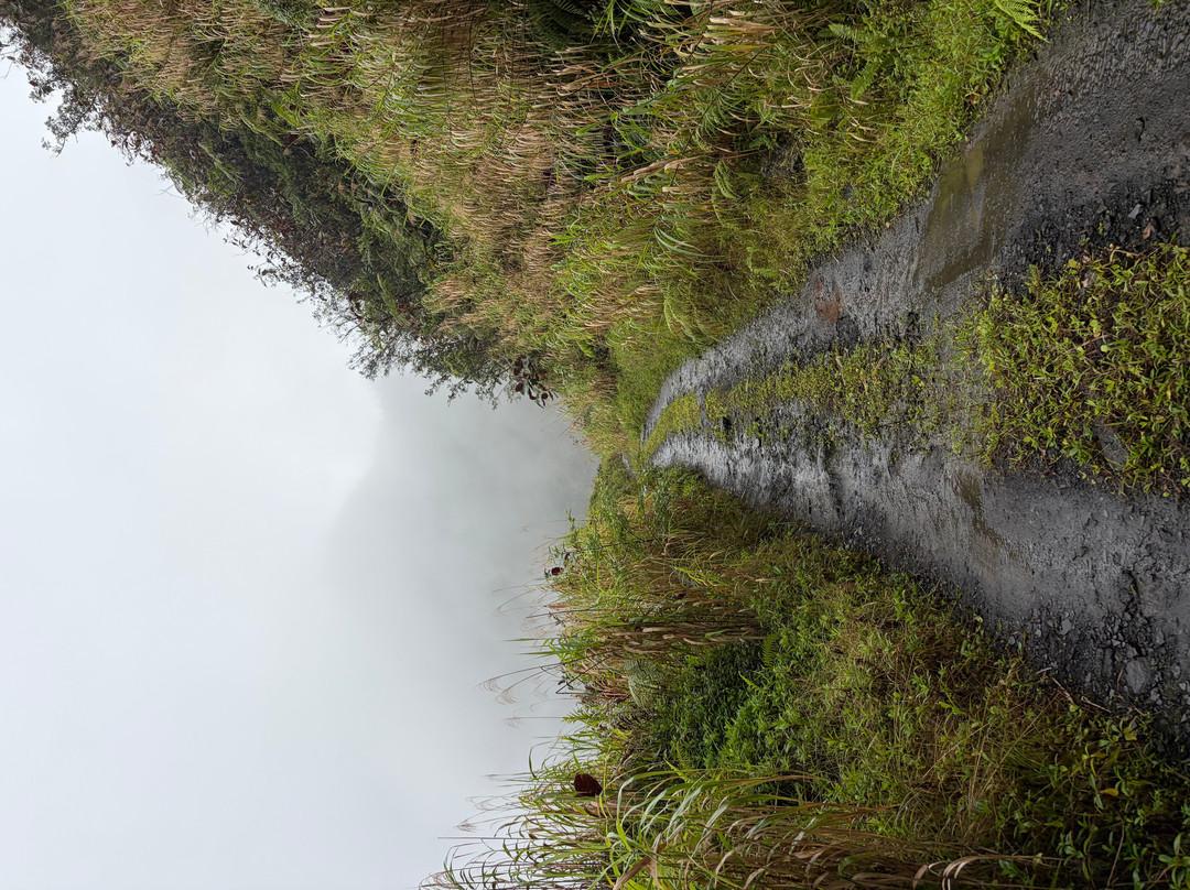 Ciao Tahiti Excursions 4x4 - Day Tours-普纳奥亚必去景点
