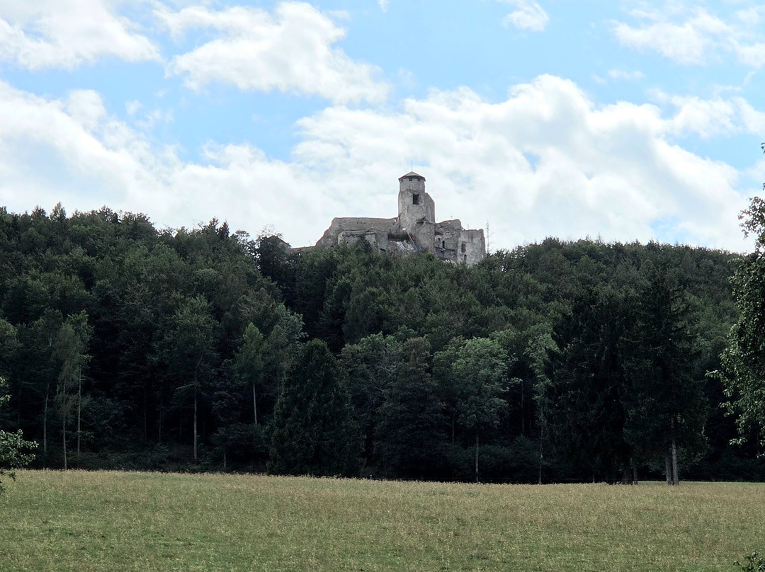 Burgruine Araburg-Kaumberg必去景点