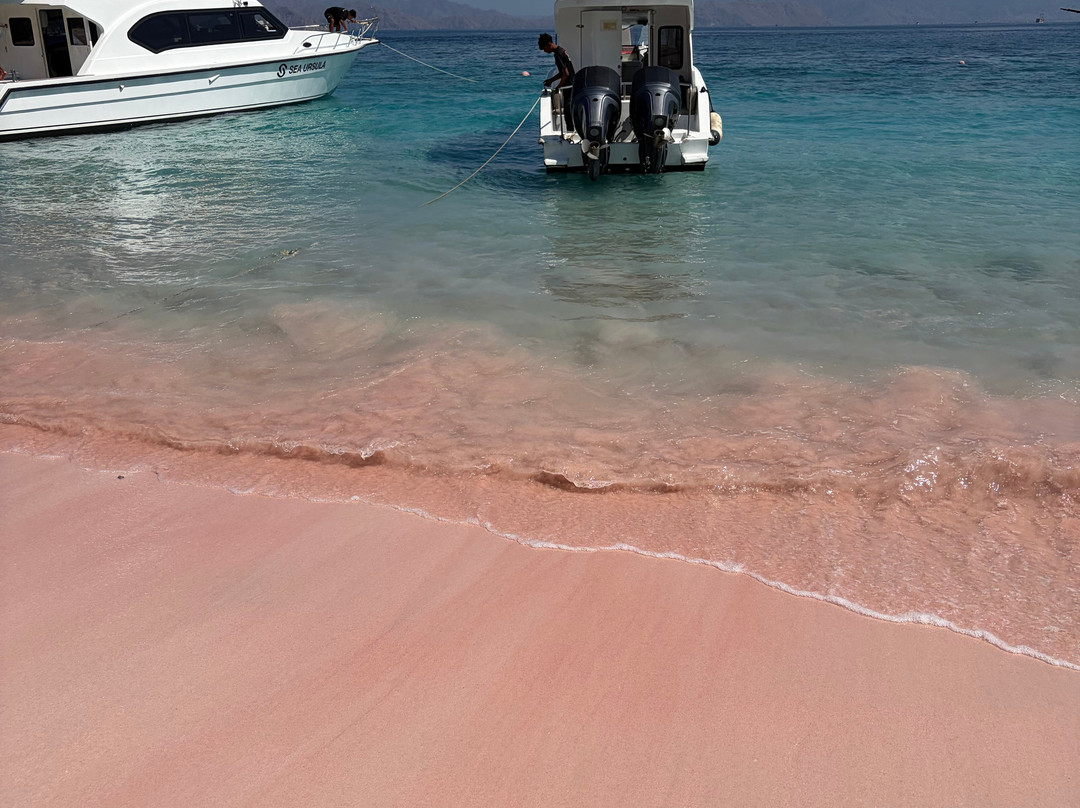Pink Beach-科莫多必去景点