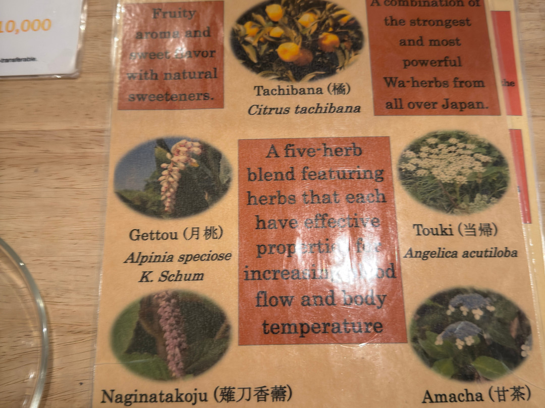 Waho-An Nature Tokyo-Daikanyama必去景点