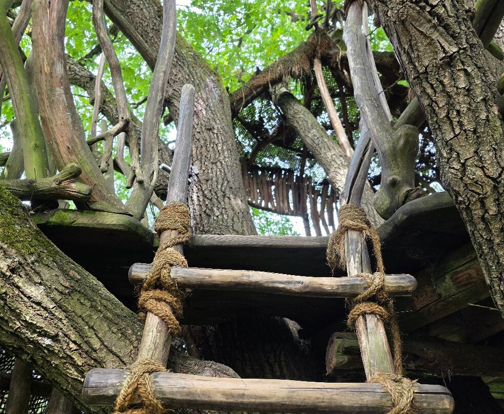 Wildgarten-Furth im Wald必去景点