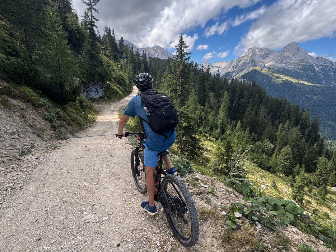 爱尔茂城堡酒店主图