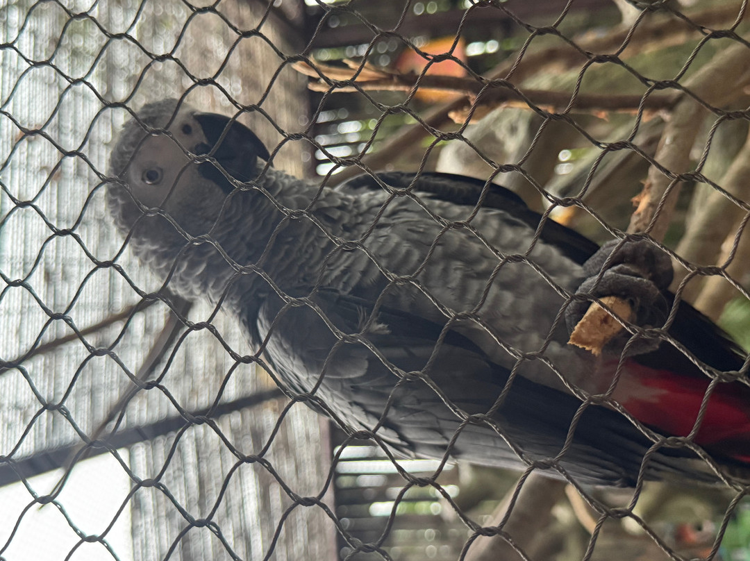 Angkor Wildlife & Aquarium-暹粒必去景点