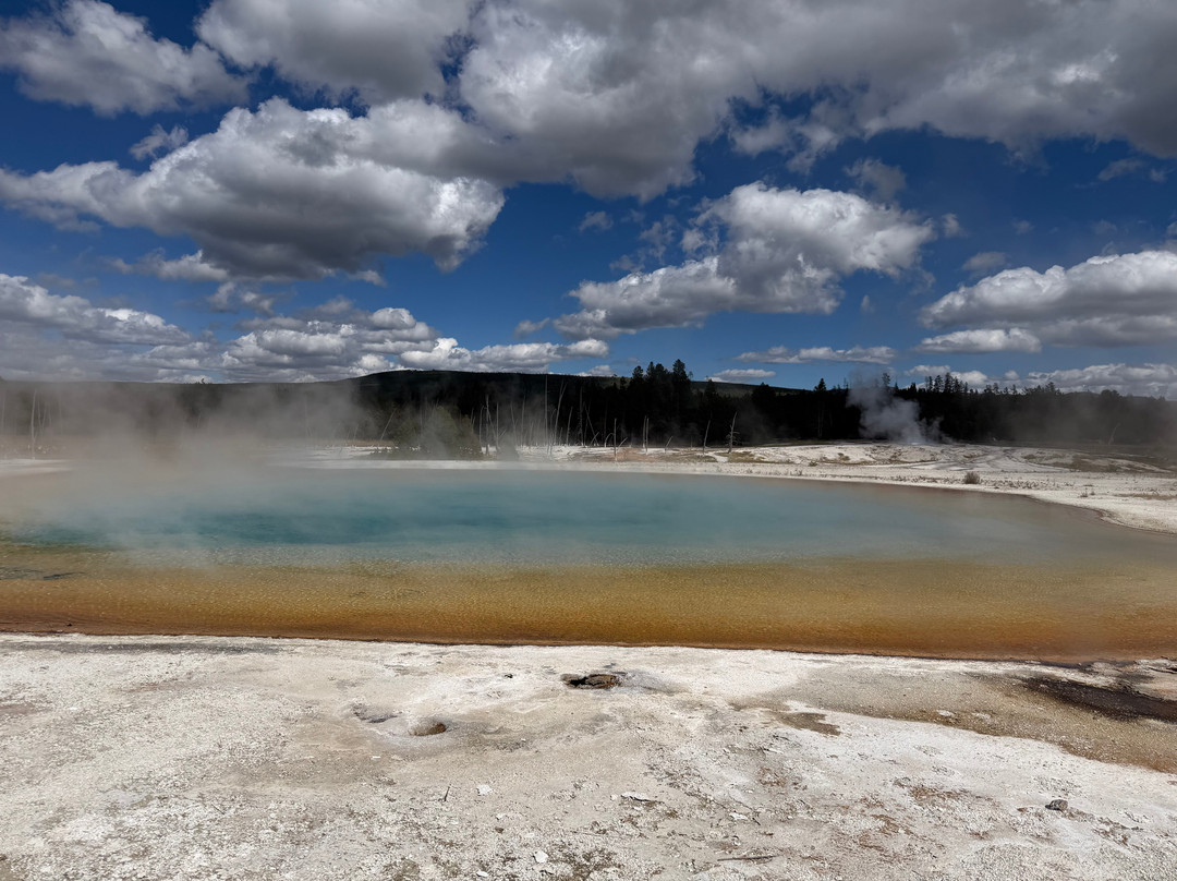 Jackson Hole Eco Tour Adventures-杰克逊必去景点