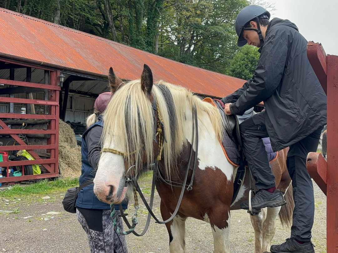 Lunga Riding Stables-Lochgilphead必去景点