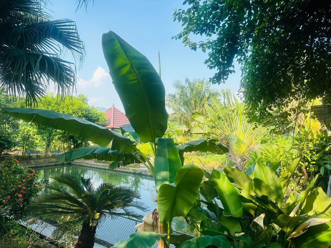 Khe Lau Lake-Nghia Thuan必去景点