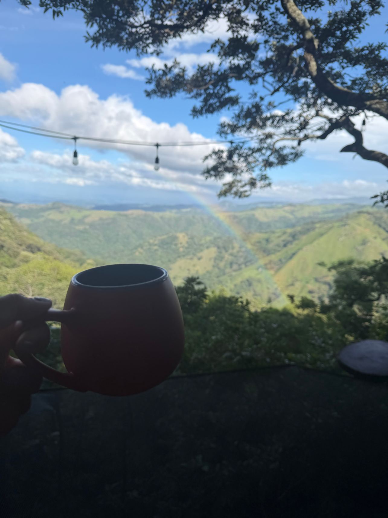太阳酒店-旅行者