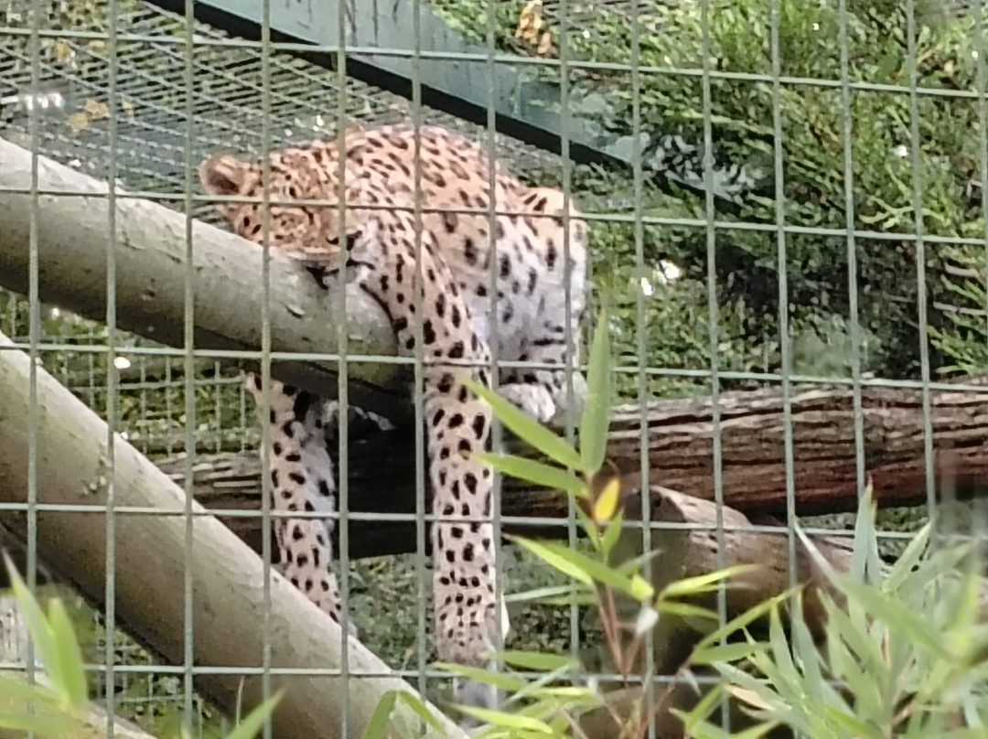 Thrigby Hall Wildlife Gardens-Filby必去景点
