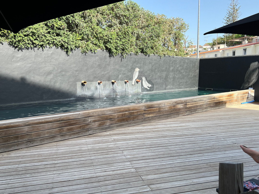 Colegio Charm House