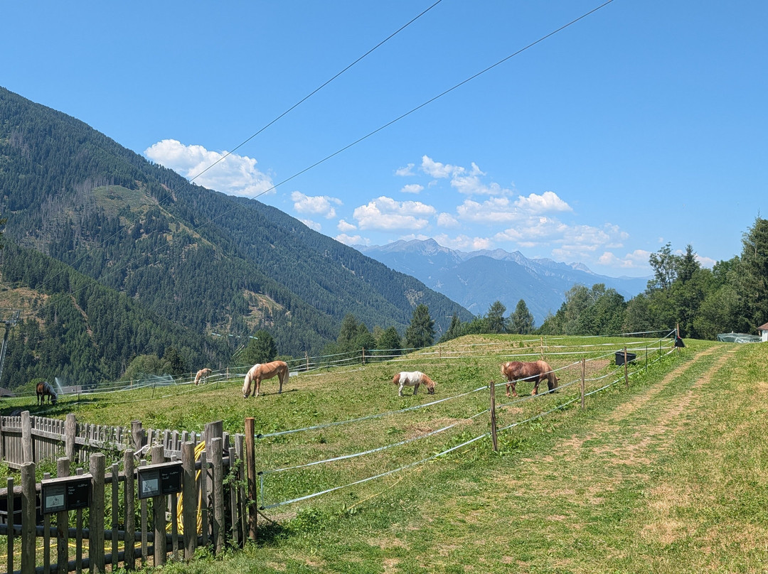 Familyhotel Sonnwies Dolomites主图