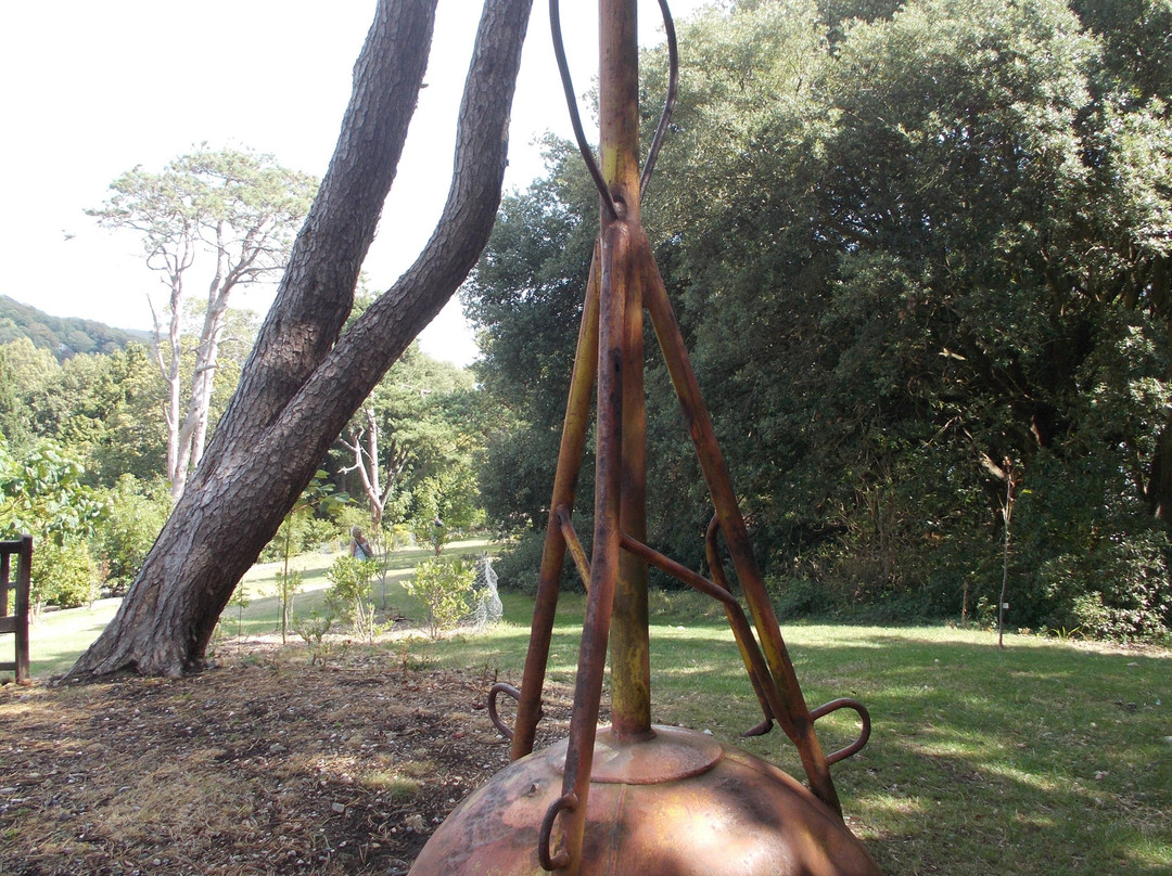 Ventnor Botanic Garden-文特诺必去景点