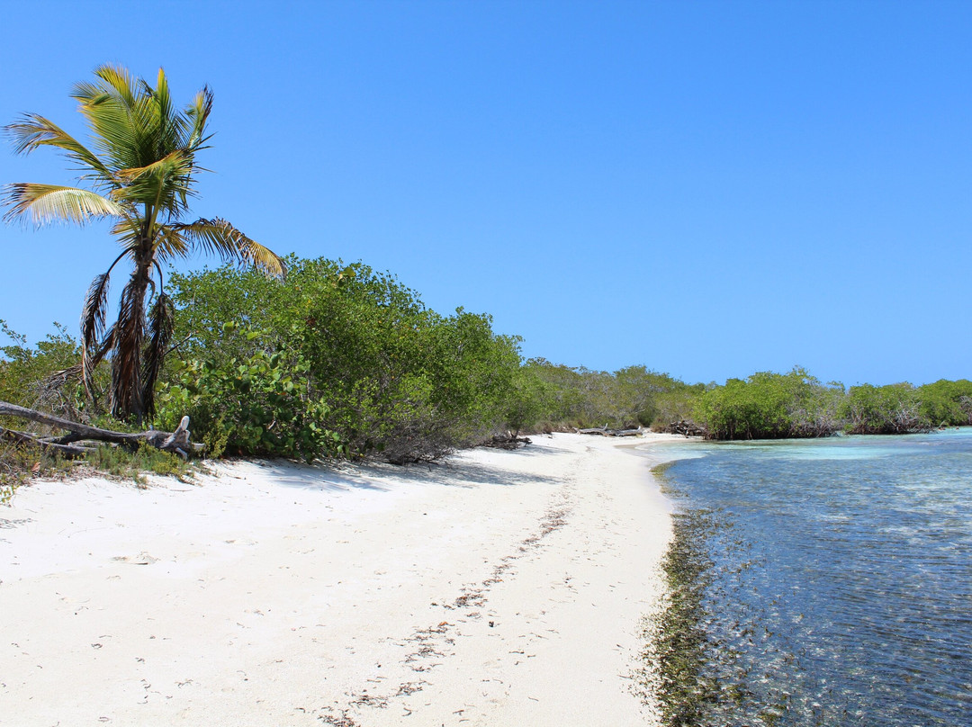 Playa Mero-Morrocoy National Park必去景点