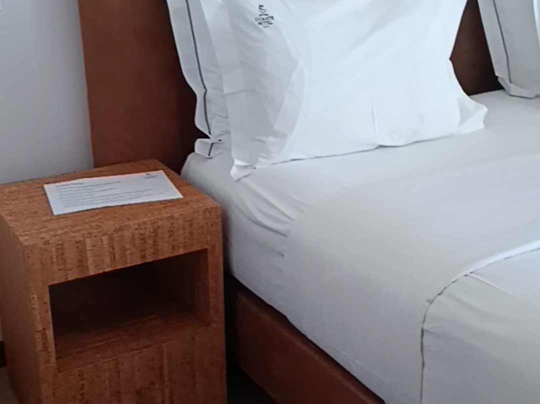 埃武拉橄榄酒店主图