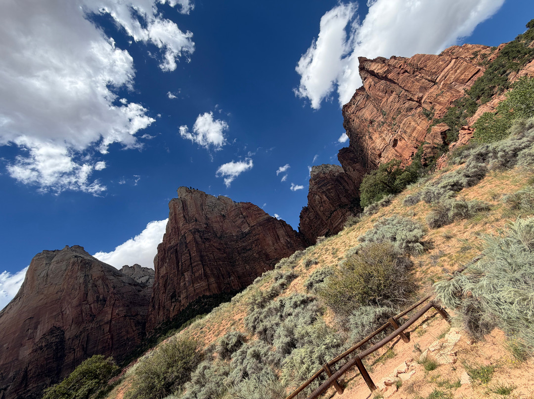 Canyon Trail Rides-锡安国家公园必去景点