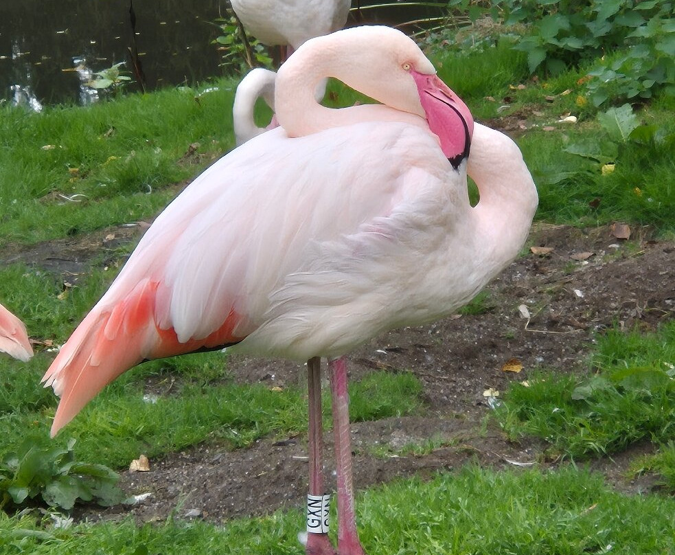 The Lake District Wildlife Park-Bassenthwaite必去景点