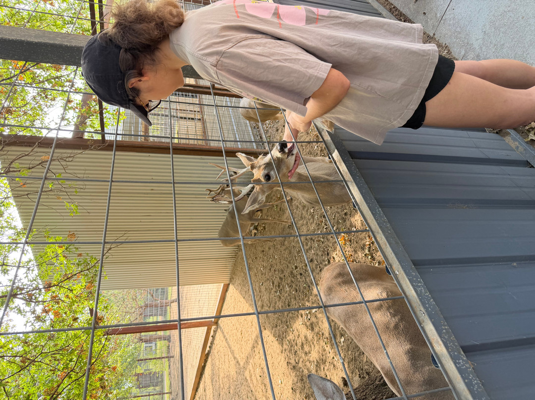 Safari Zoological Park-Caney必去景点