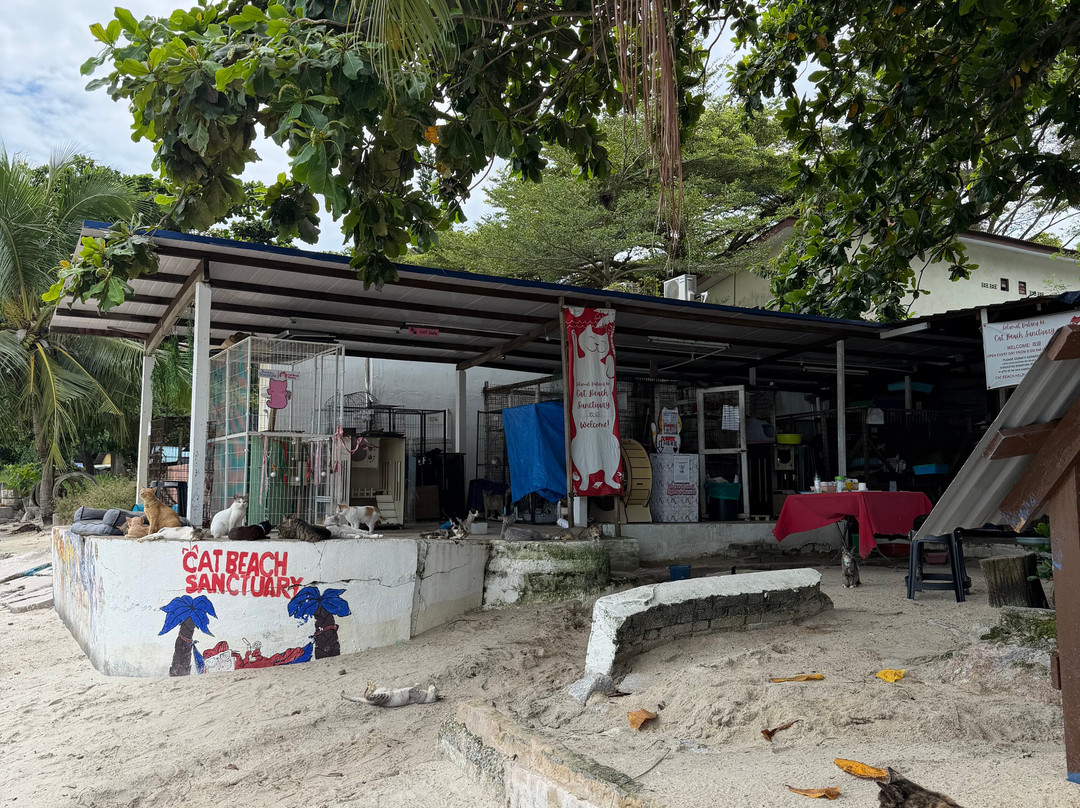 Cat Beach Sanctuary-巴巷海滩必去景点