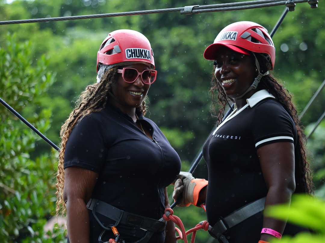 Harrison's Cave Eco-Adventure Park-Saint Thomas Parish必去景点
