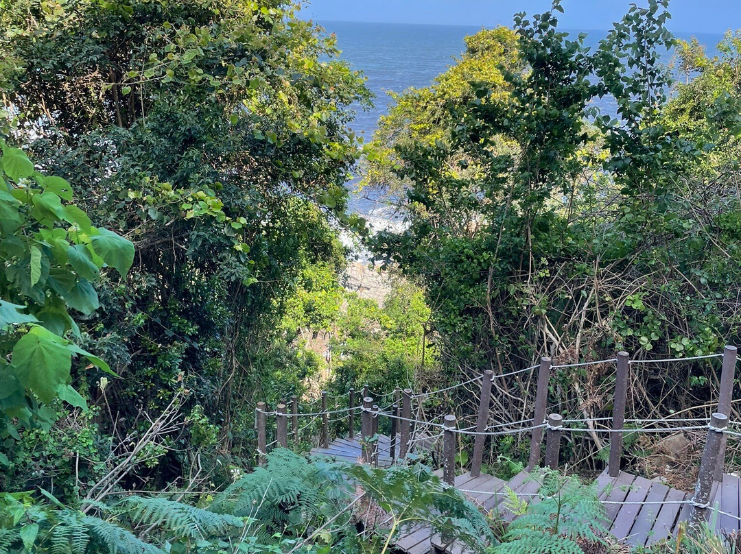风暴河悬索桥-Tsitsikamma National Park必去景点
