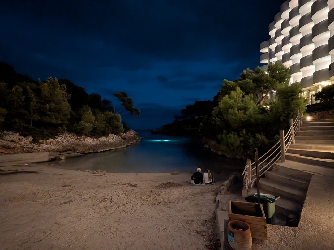 AluaSoul Mallorca Resort - Adults Only主图