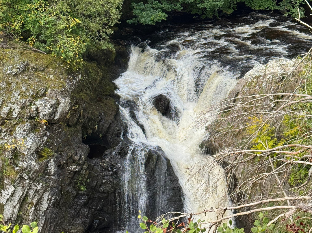 泰纳莱旅馆主图