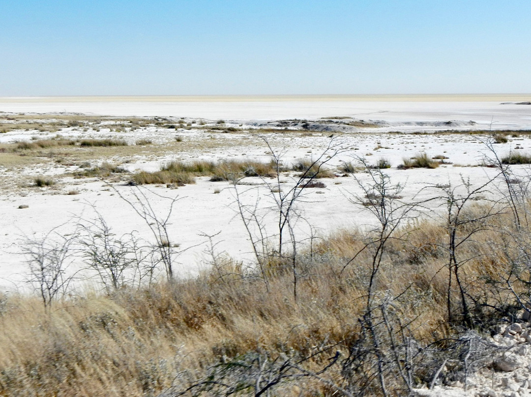 Etosha Pan-纳米比亚埃托沙国家公园必去景点