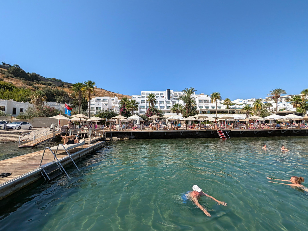阿加亚博德鲁姆 +16限成人（原博德鲁姆普瑞弗）主图