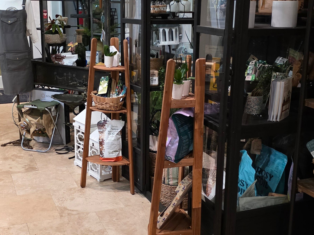 Fairchild Tropical Botanic Garden-科勒尔盖布尔斯必去景点