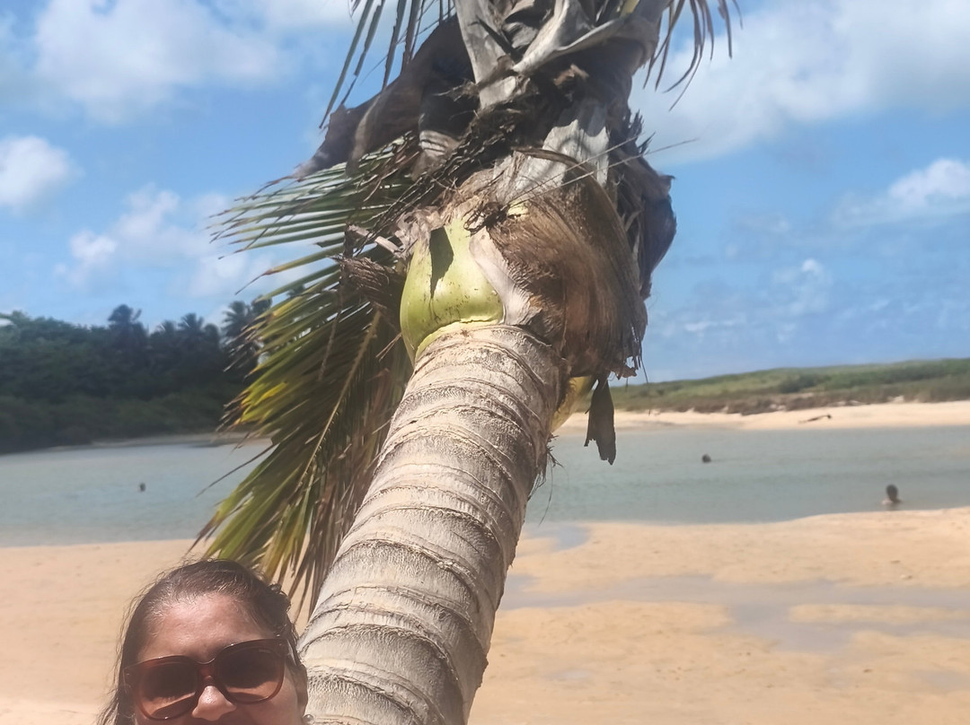 Tabatinga Beach-Conde必去景点